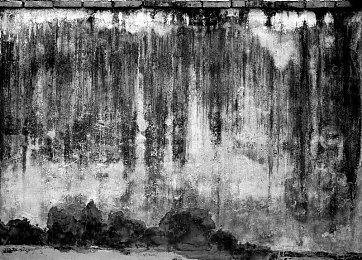 世仇之战！《漫威复仇者》“黑豹：瓦坎达之战”—【瓦坎达之路：父与子】