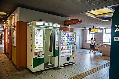 打造桌面温馨花园 放置新游试玩版已上线！